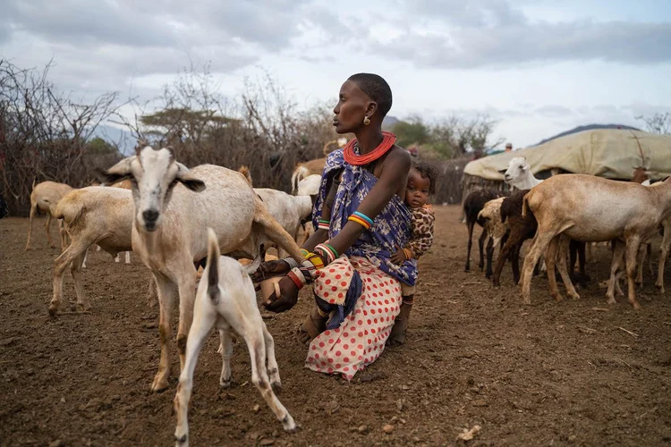Milk+to+Market+_+The+Sarara+Foundation+_+Milk+Journey+3