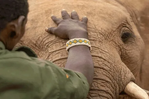 Reteti+Elephant+Sanctuary+_+_500x333
