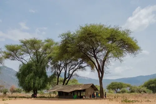The+Sarara+Foundation+Nomadic+Montessori+School_1_500x333