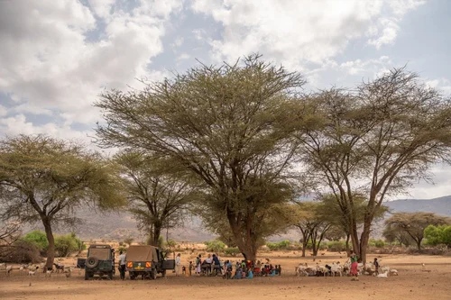 The+Sarara+Foundation+_+Nomadic+Healthcare+Program+_+1